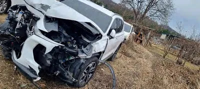 2019 Hyundai Santa FE KMHS381BBKU051777 VIN:KMHS381BBKU051777