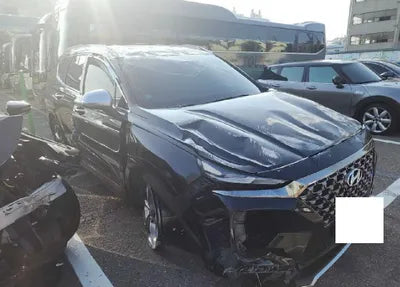 2019 Hyundai Santa FE KMHS581BBKU136785 VIN:KMHS581BBKU136785