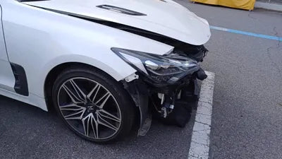 2021 Kia Stinger KNAE351DBMS101749 VIN:KNAE351DBMS101749