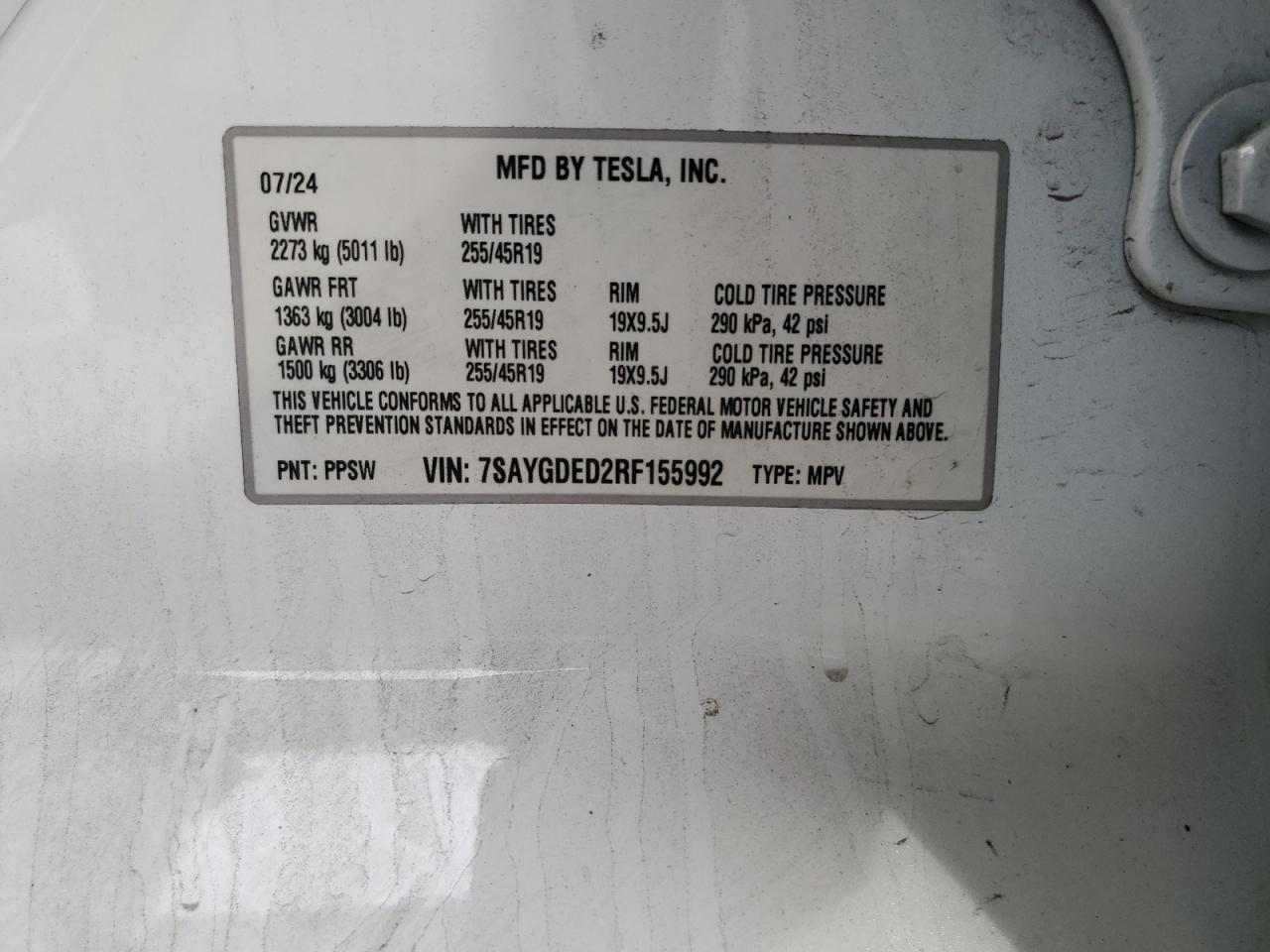 2024 TESLA MODEL Y  VIN:7SAYGDED2RF155992