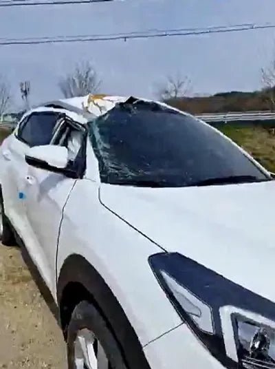 2020 Hyundai Tucson KMHJ3812GLU162655 VIN:KMHJ3812GLU162655