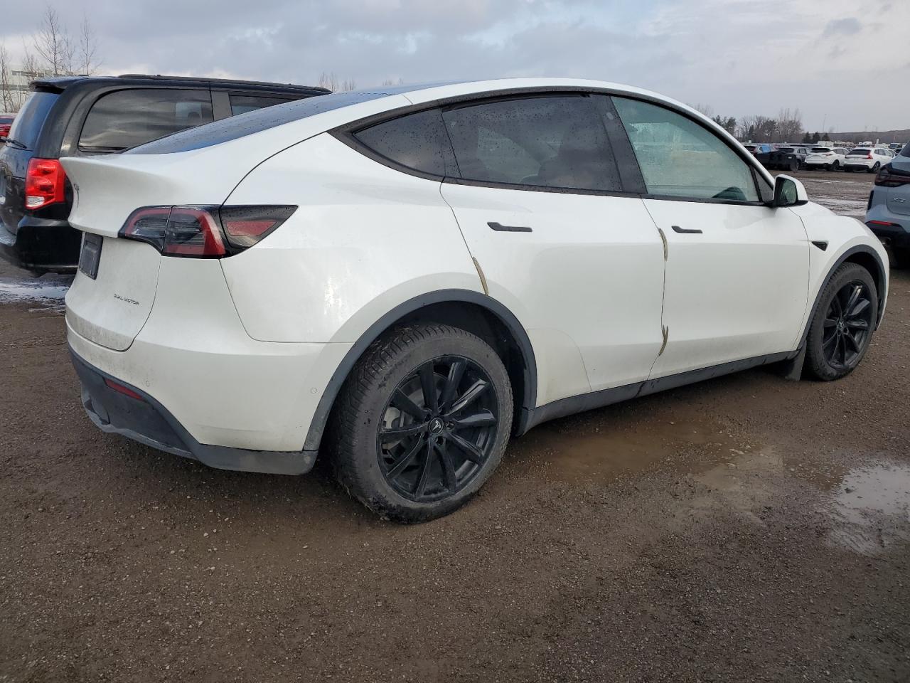 2022 TESLA MODEL Y  VIN:7SAYGDEE7NF450895