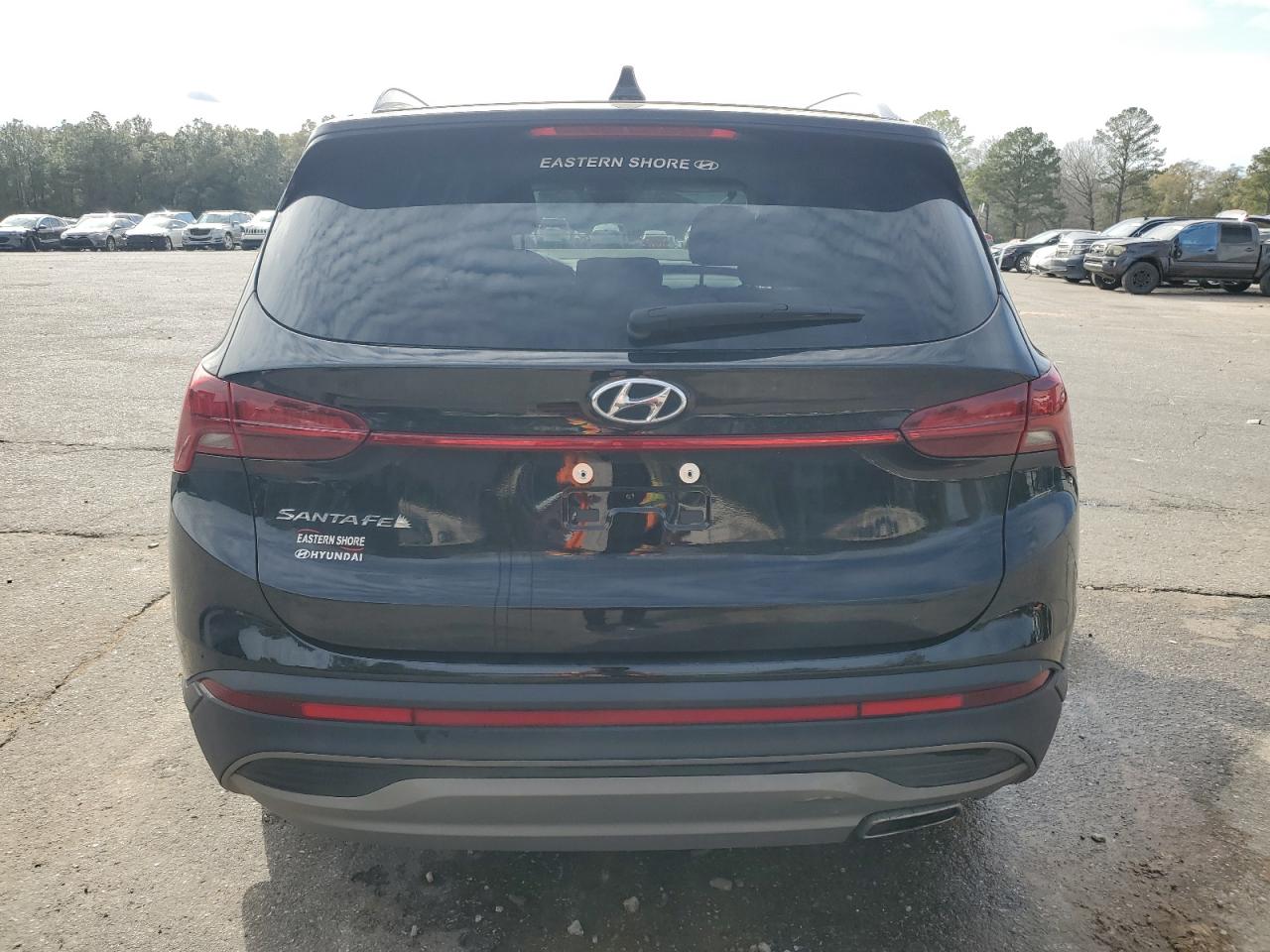 2023 HYUNDAI SANTA FE SEL VIN:5NMS24AJXPH600939
