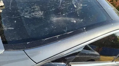 2019 Mercedes-Benz E 300 WDDZF4KB7KA585304 VIN:WDDZF4KB7KA585304