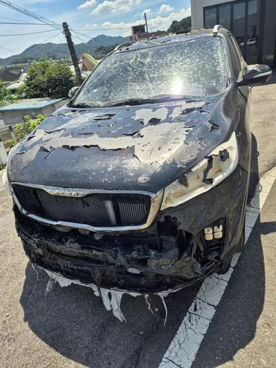 2017 Kia Sorento KNAPS81BBJA419260 VIN:KNAPS81BBJA419260