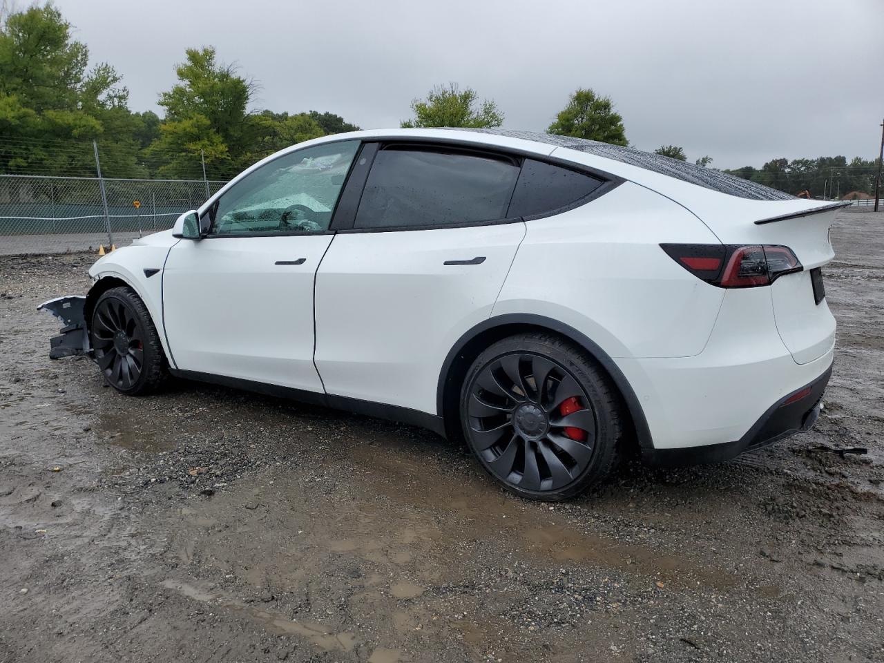 2022 TESLA MODEL Y  VIN:7SAYGDEF9NF523483
