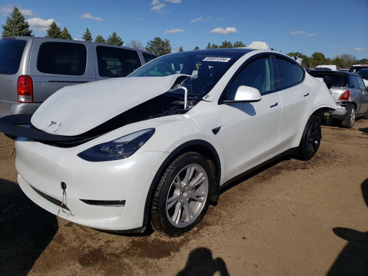 2024 TESLA MODEL Y  VIN:7SAYGDEE8RA251941