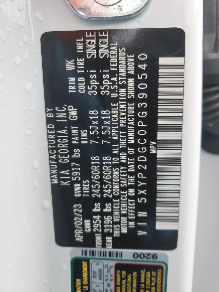 2023 KIA TELLURIDE LX VIN:5XYP2DGC0PG390540
