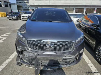 2019 Kia Sorento KNAPS81ABKA492073 VIN:KNAPS81ABKA492073