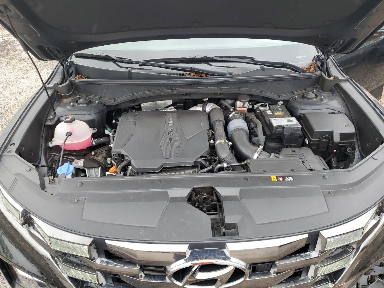 2023 HYUNDAI SANTA CRUZ NIGHT VIN:5NTJCDAF1PH063905