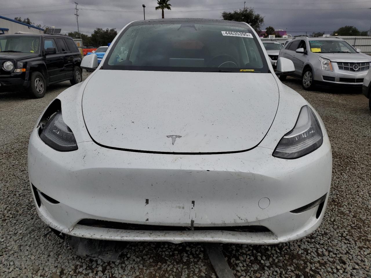 2023 TESLA MODEL Y  VIN:7SAYGDEE8PA069783