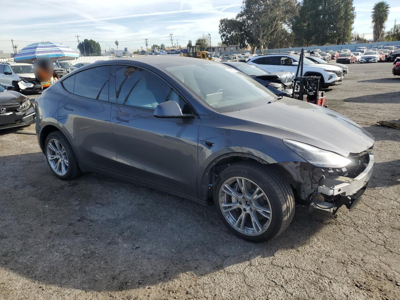 2023 TESLA MODEL Y  VIN:7SAYGDEE2PF910726