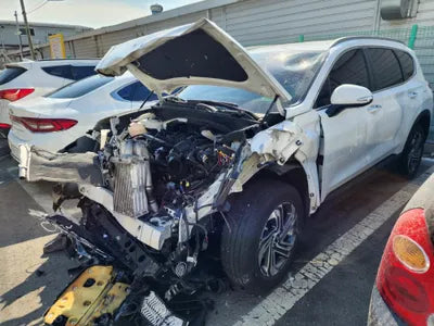 2020 Hyundai Santa FE KMHS381HGMU323976 VIN:KMHS381HGMU323976