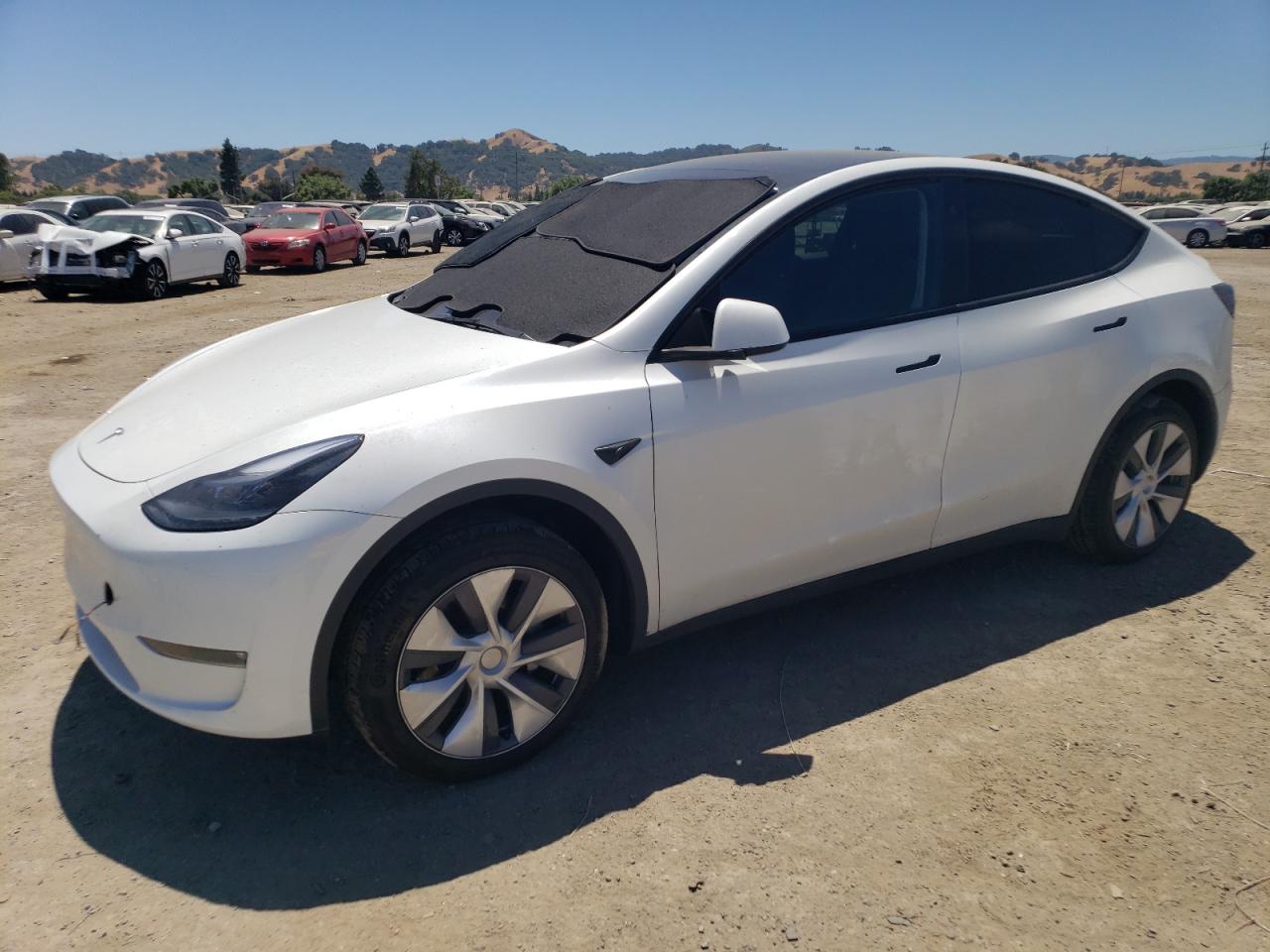 2023 TESLA MODEL Y  VIN:7SAYGDEDXPF946395