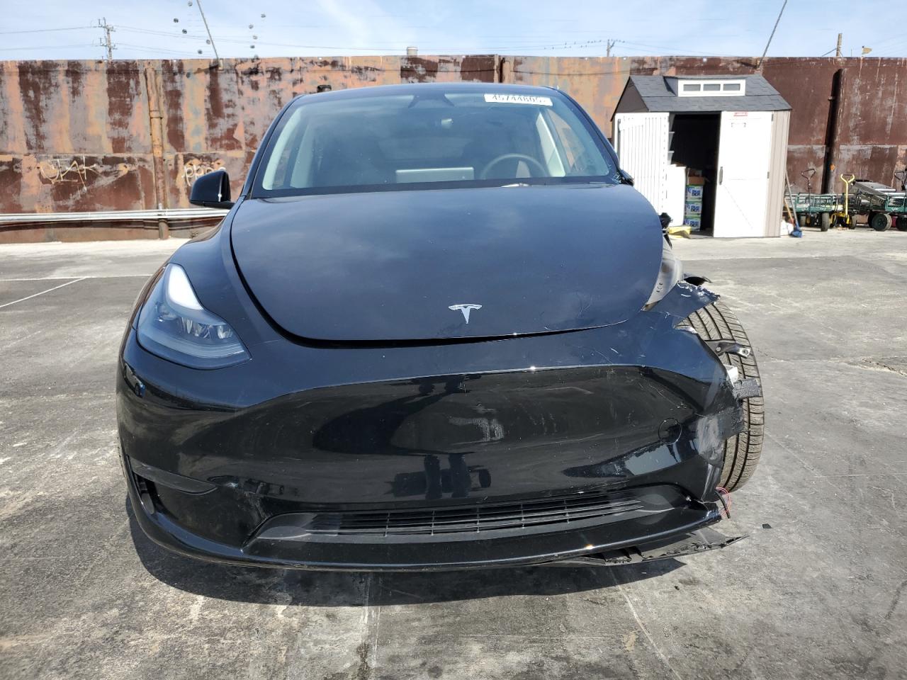 2023 TESLA MODEL Y  VIN:7SAYGDEE6PF923897