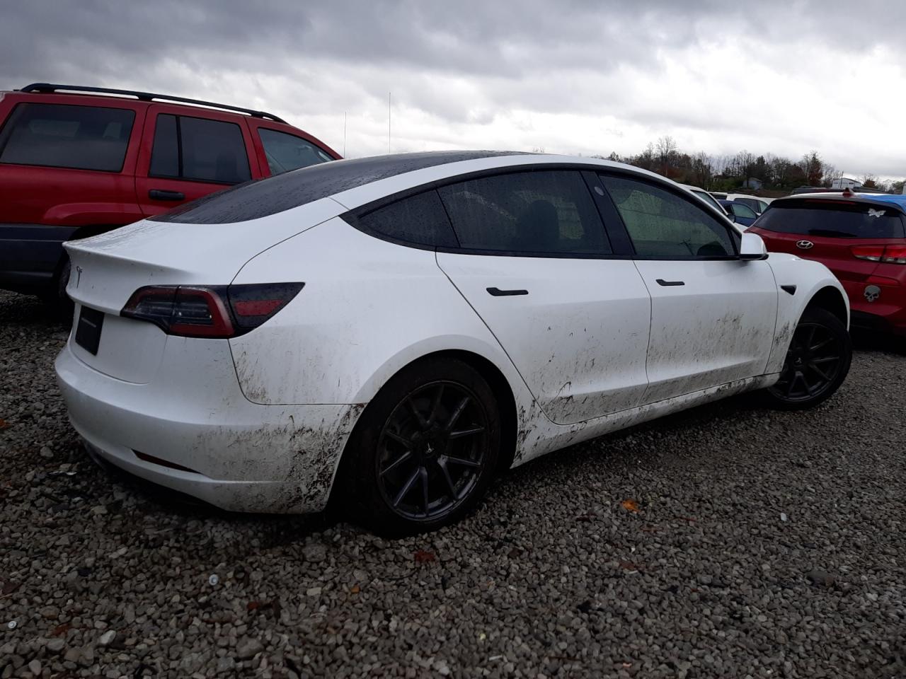 2023 TESLA MODEL 3  VIN:5YJ3E1EAXPF564515