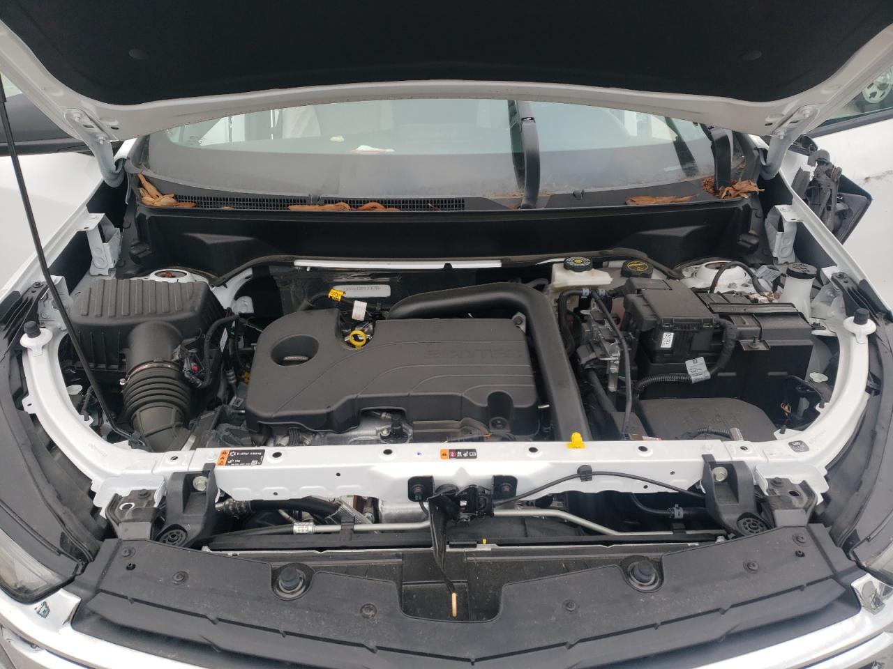 2024 CHEVROLET EQUINOX LS VIN:3GNAXHEG6RL248295