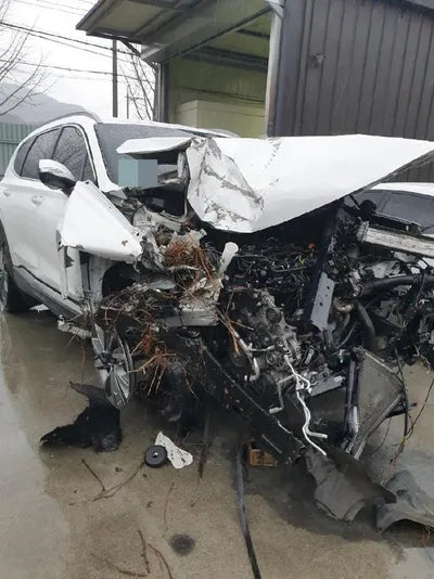 2019 Hyundai Santa FE VIN: