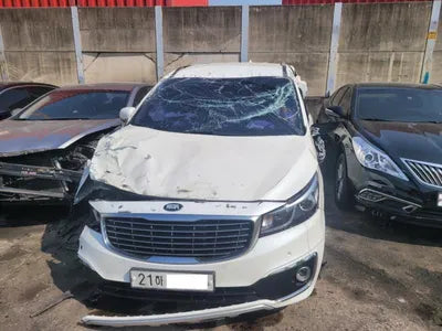 2017 Kia Carnival KNAMB81ABJS383010 VIN:KNAMB81ABJS383010