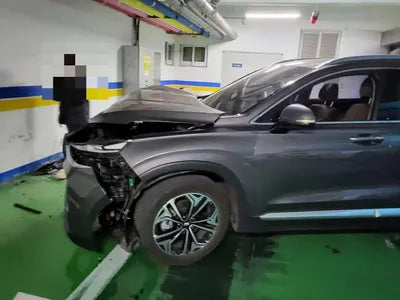 2019 Hyundai Santa FE KMHS381BBLU201216 VIN:KMHS381BBLU201216