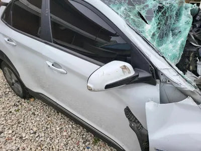 2019 Hyundai Kona KMHK381GFKU047821 VIN:KMHK381GFKU047821