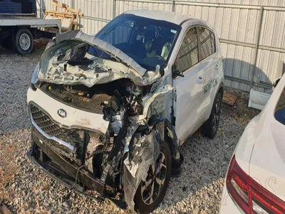 2020 Kia Sportage KNAPL812GLK847223 VIN:KNAPL812GLK847223