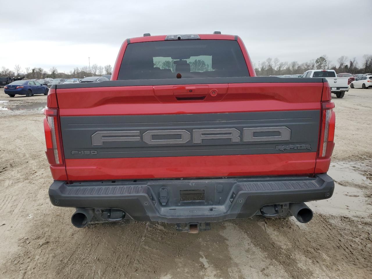 2024 FORD F150 RAPTOR VIN:1FTFW1RG6RFB13248