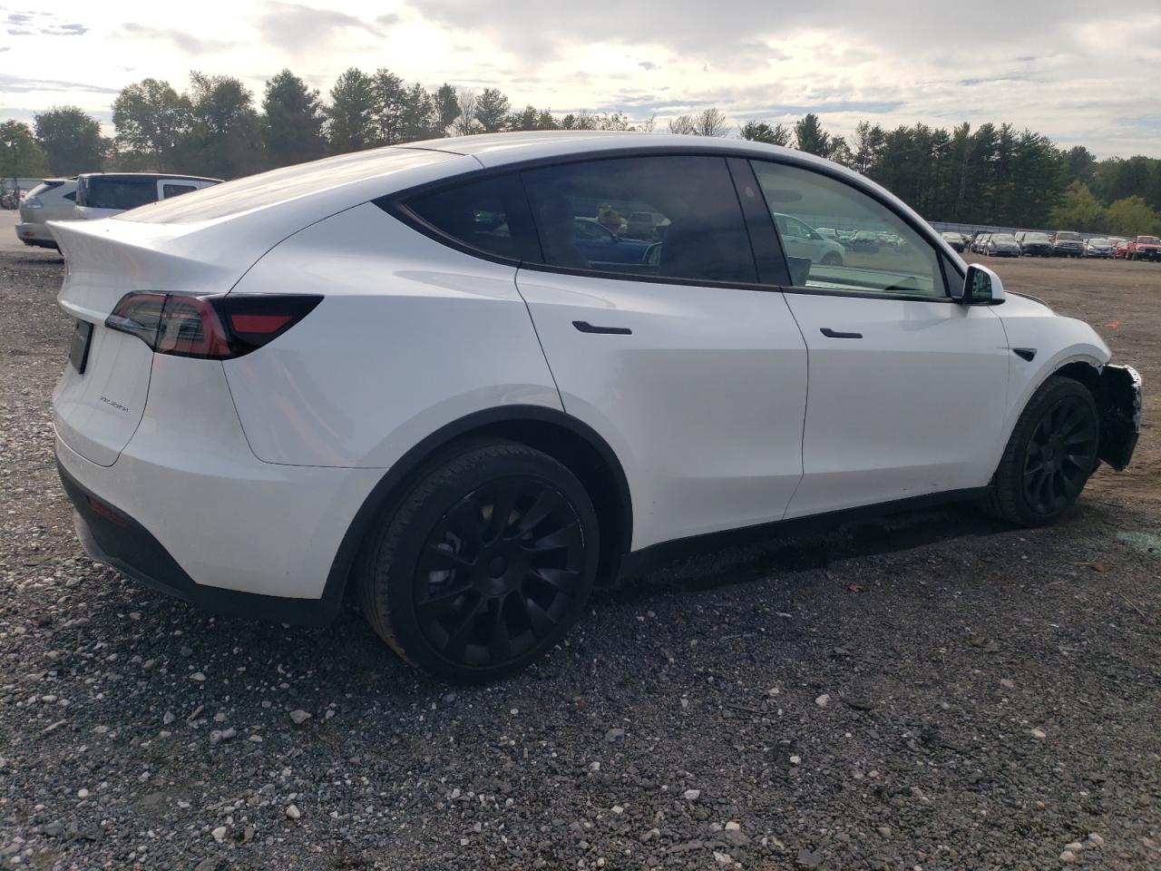 2023 TESLA MODEL Y  VIN:7SAYGDEE6PA148420