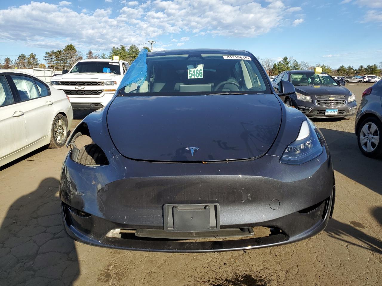 2024 TESLA MODEL Y  VIN:7SAYGDEE2RA232477