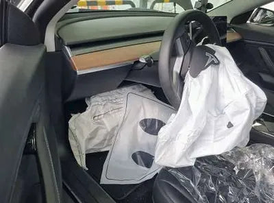 2020 Tesla Model 3 5YJ3E1EBXLF726016 VIN:5YJ3E1EBXLF726016
