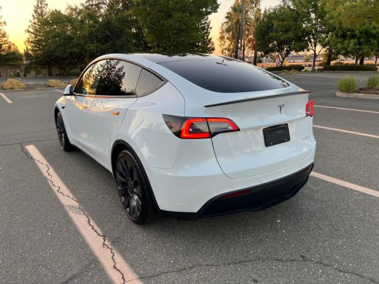 2022 TESLA MODEL Y  VIN:7SAYGDEF6NF343071