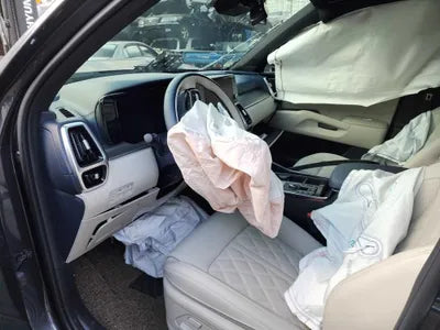 2023 Kia Sorento KNARH81GBPA197829 VIN:KNARH81GBPA197829