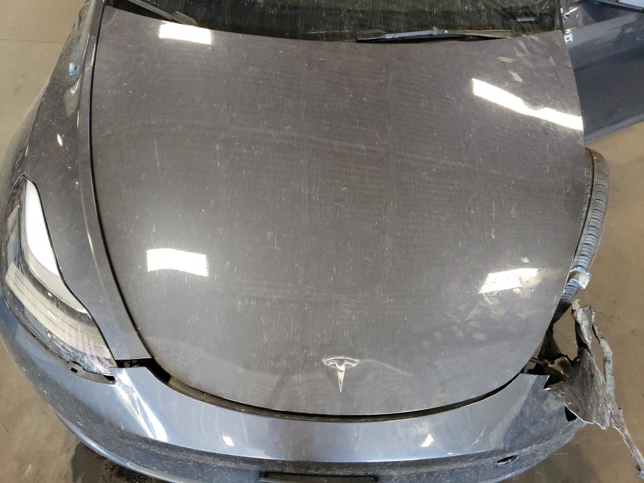 2023 TESLA MODEL Y  VIN:7SAYGAEE6PF950113