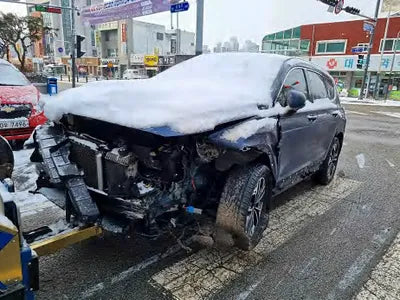 2019 Hyundai Santa FE KMHS381CDKU156880 VIN:KMHS381CDKU156880