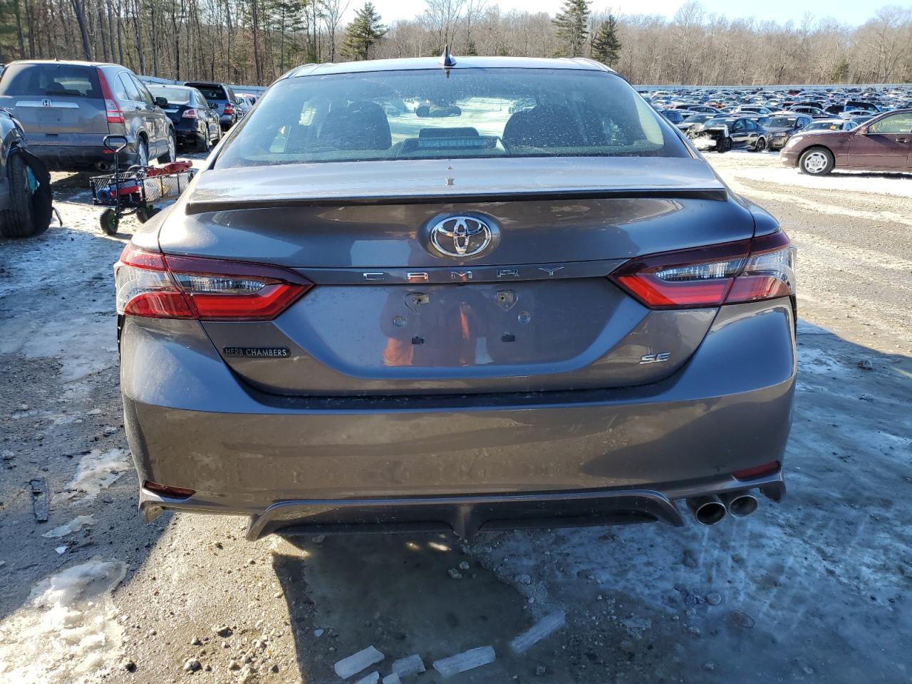 2024 TOYOTA CAMRY SE NIGHT SHADE VIN:4T1G11AK9RU194692