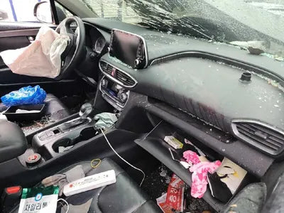 2019 Hyundai Santa FE 2KMHS381BBKU07648 VIN:2KMHS381BBKU07648