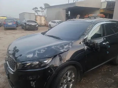 2019 Kia Sorento KNAPH81BBKA501737 VIN:KNAPH81BBKA501737