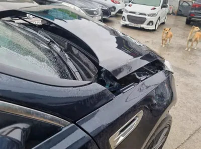 2016 Kia K5 KNAGW411BGA059730 VIN:KNAGW411BGA059730