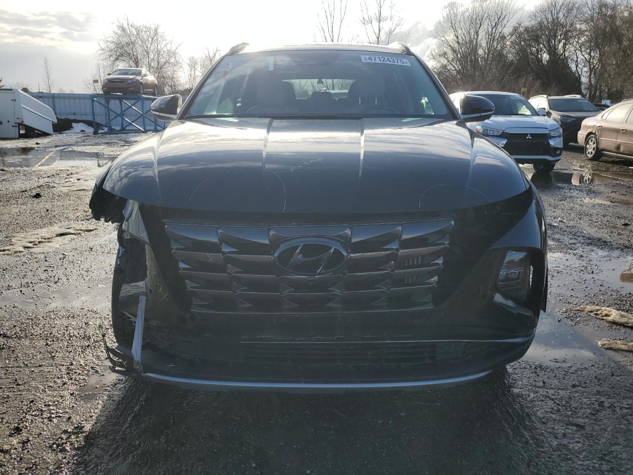 2024 HYUNDAI TUCSON SEL CONVENIENCE VIN:KM8JCCD19RU143367