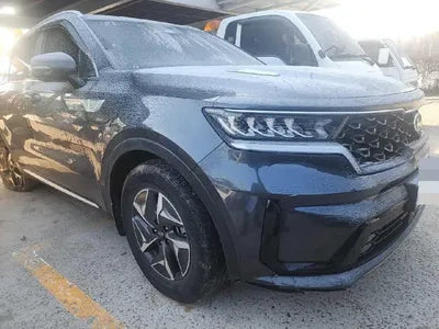 2021 Kia Sorento KNARH81GBMA057653 VIN:KNARH81GBMA057653
