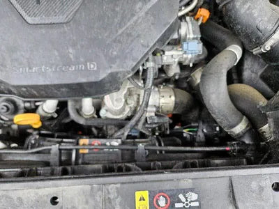 2022 Kia Carnival KNANB81BBPS265674 VIN:KNANB81BBPS265674