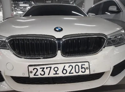 2020 BMW 520 WBAJF5101LCD42963 VIN:WBAJF5101LCD42963