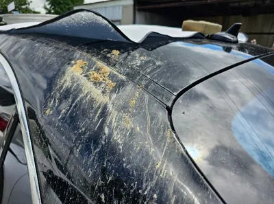 2020 Mercedes-Benz S 560 VIN: