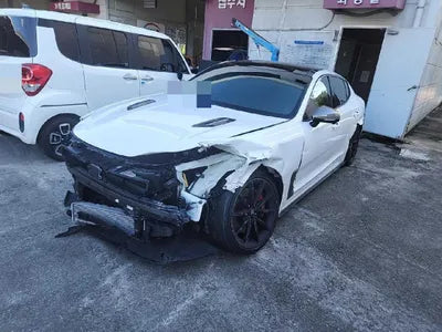 2021 Kia Stinger KNAE551CDMS098940 VIN:KNAE551CDMS098940