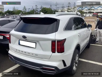 2020 Kia Sorento KNARH81BGMA047834 VIN:KNARH81BGMA047834