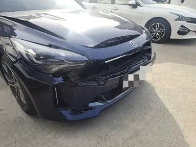 2019 Kia Stinger KNAE751CBKS060934 VIN:KNAE751CBKS060934