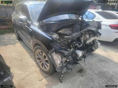 2020 Kia Sorento KNARL81BGMA004519 VIN:KNARL81BGMA004519