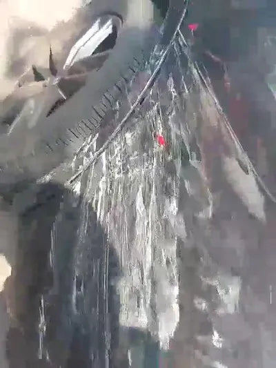 2019 BMW 320 WBAUZ3107LLT05583 VIN:WBAUZ3107LLT05583