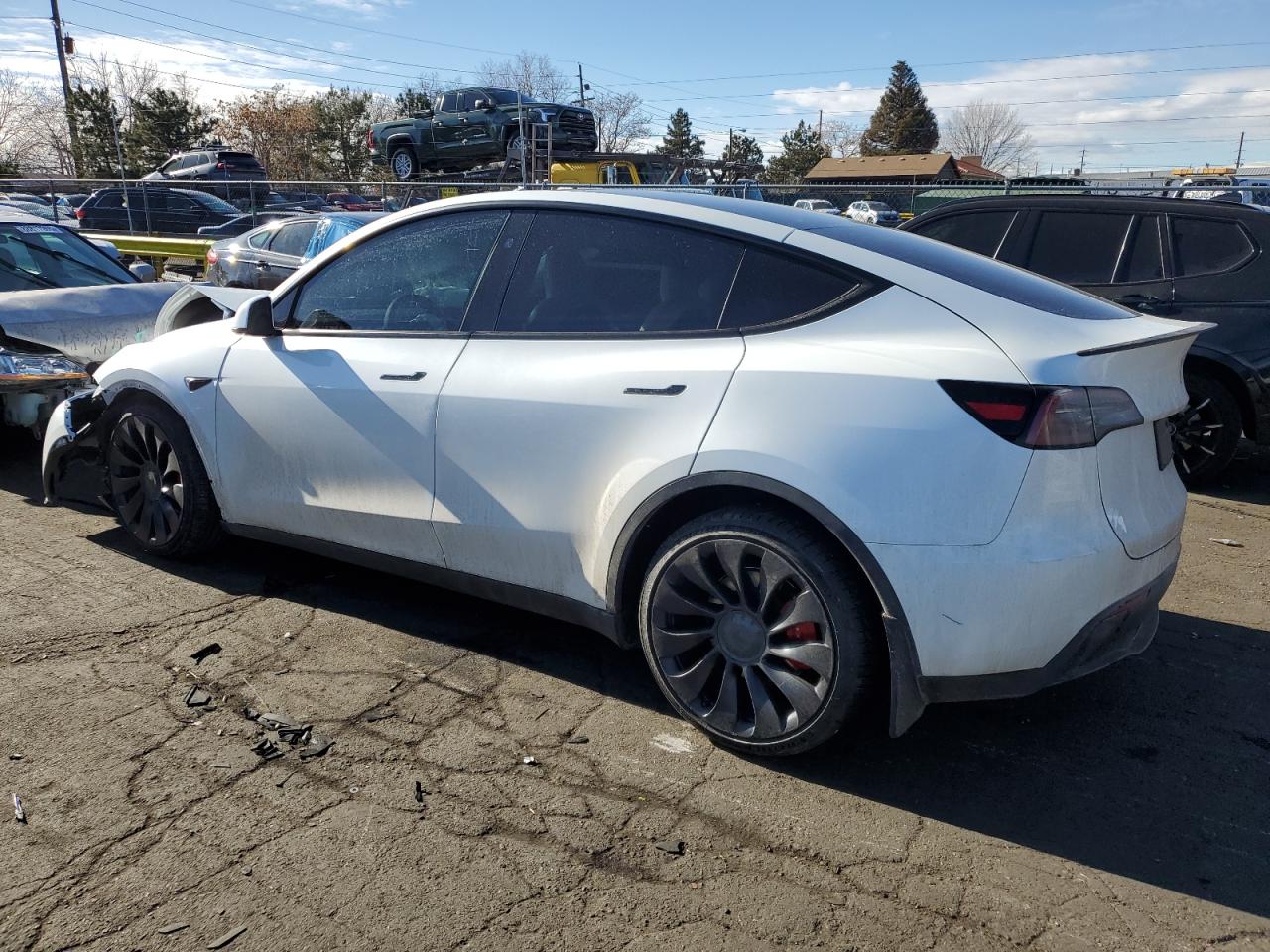 2024 TESLA MODEL Y  VIN:7SAYGDEF8RF019769