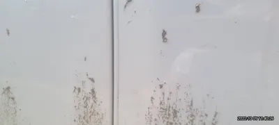 2016 Jaguar XJS VIN: